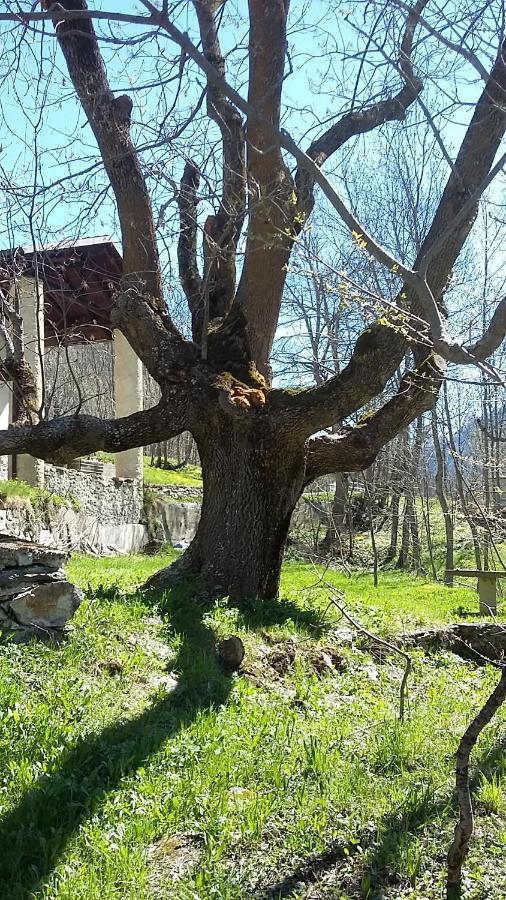 아세글리오 La Casa Del Gigante Frassino 아파트 외부 사진